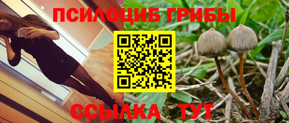 Галлюциногенные грибы Psilocybine cubensis  Вход с VPN  Холмск  где продают   Псилоцибиновые грибы мухоморы 
